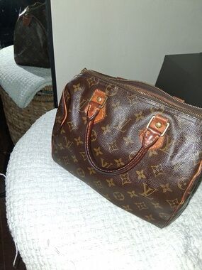 Louis Vuitton Monogram Canvas Handbag in Brown and Tan
